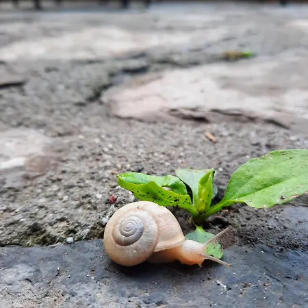 Agroturismo Al Marnich