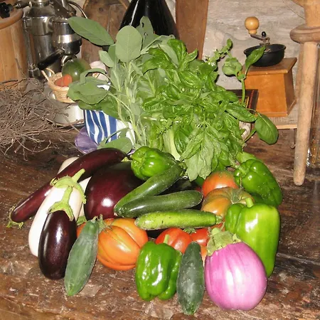 Farm stay Al Marnich