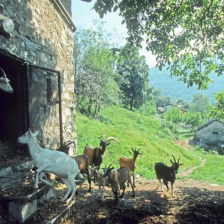 Farm stay Al Marnich *